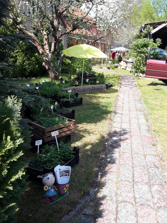 Kraeuter-Heidi Lägenhet Schwielowsee Exteriör bild